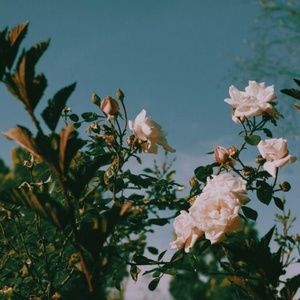 Meet your Posher, Kay